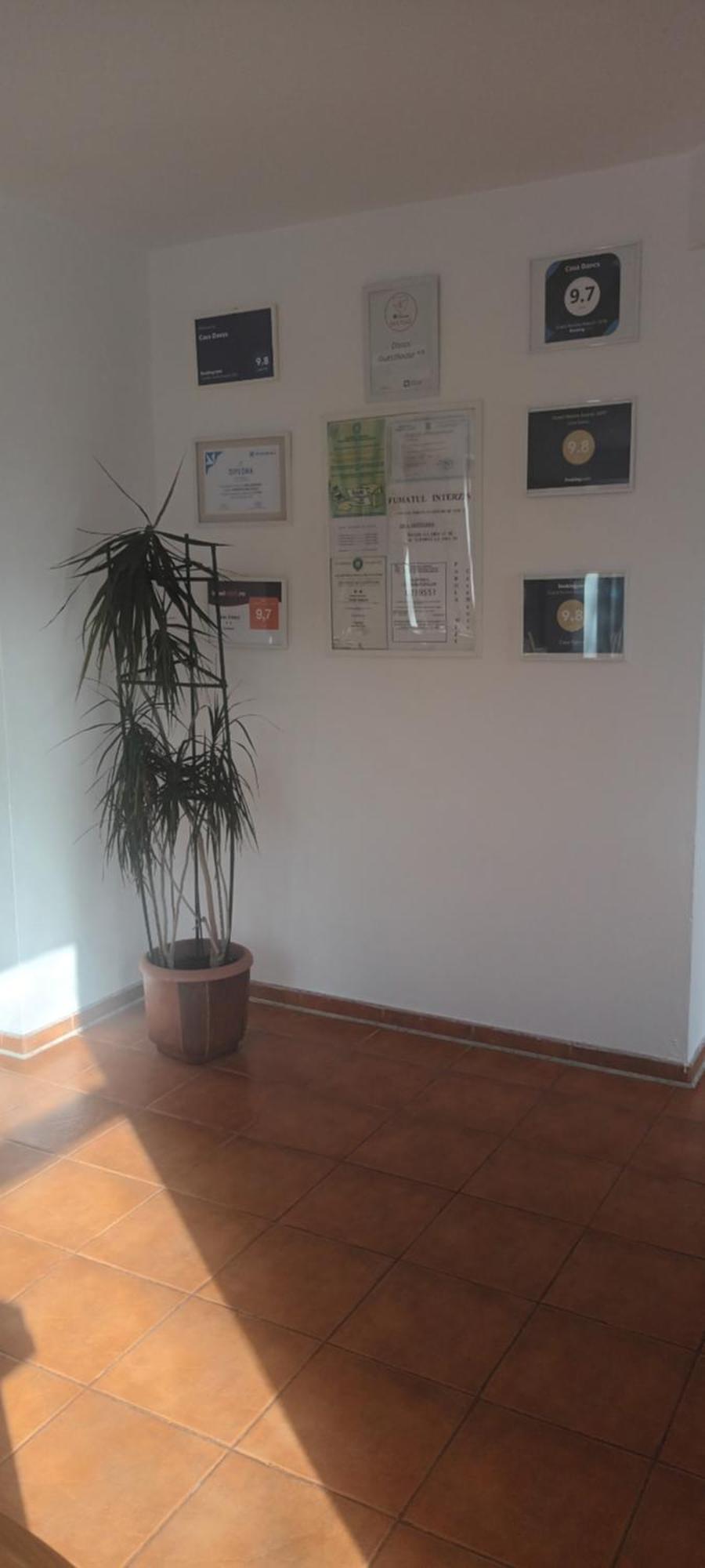 מלון קובסנה Casa Dancs מראה חיצוני תמונה